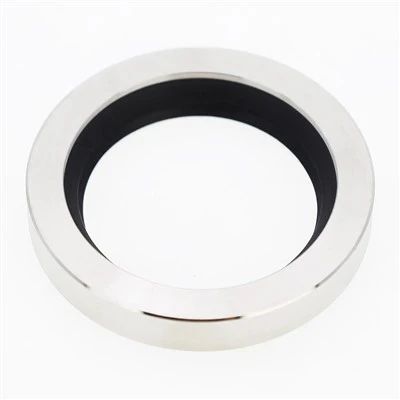 PTFE ঠোঁট তেল সীল